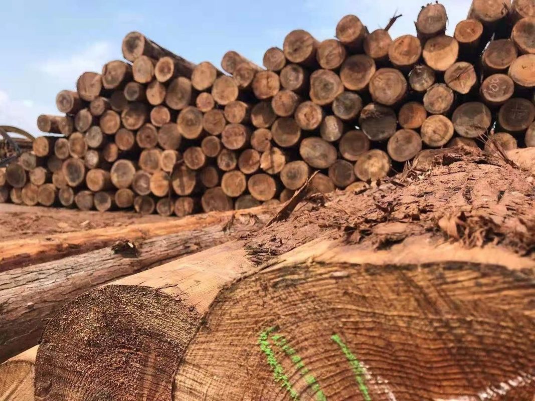 Προσαρμοσμένος υπαίθριος ξύλινος φράκτης κέδρων για την καλή σταθερότητα διακοσμήσεων κήπων