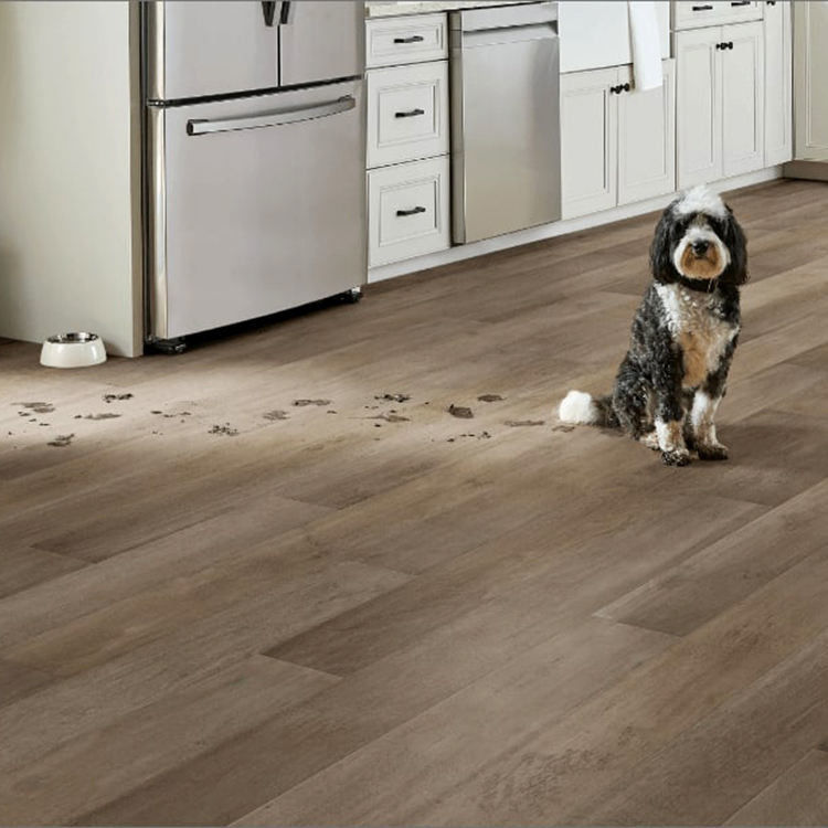 Αδιάβροχο ξύλινο σπόρο 4mm 5mm PVC Κλικ Κλειδί Spc δαπέδα Lvp δαπέδα Βινύλιο πλάκα πολυτελή βινύλιο δαπέδα με IXPE