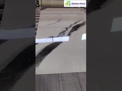 Τελειωμένη οθόνη φύλλου μαρμάρου UV